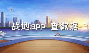 战地app 查数据