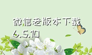 微信老版本下载6.5.10