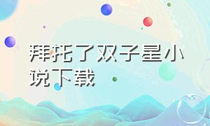 拜托了双子星小说下载（《拜托了双子星》）