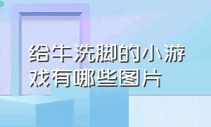 给牛洗脚的小游戏有哪些图片（给牛修脚的解压小游戏）