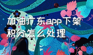 加油广东app下架积分怎么处理