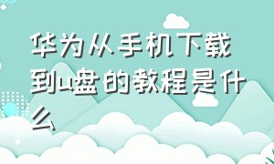 华为从手机下载到u盘的教程是什么