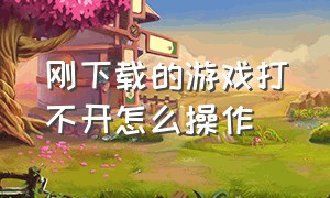 刚下载的游戏打不开怎么操作