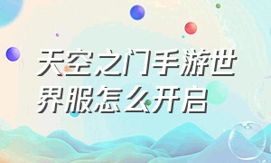 天空之门手游世界服怎么开启