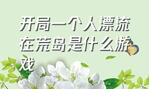 开局一个人漂流在荒岛是什么游戏