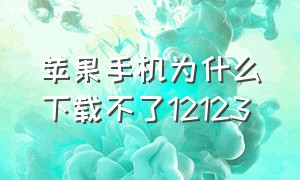 苹果手机为什么下载不了12123