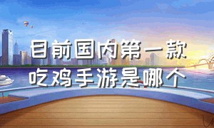 目前国内第一款吃鸡手游是哪个