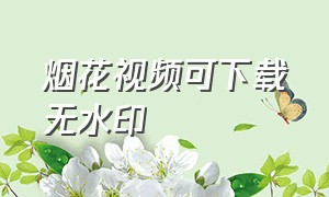 烟花视频可下载无水印