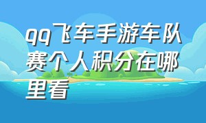 qq飞车手游车队赛个人积分在哪里看