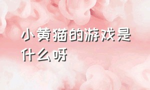 小黄猫的游戏是什么呀