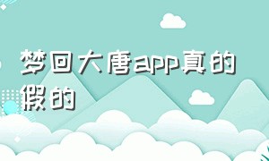 梦回大唐app真的假的