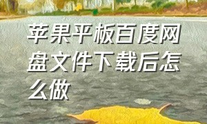 苹果平板百度网盘文件下载后怎么做