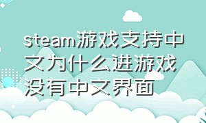 steam游戏支持中文为什么进游戏没有中文界面