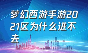 梦幻西游手游2021区为什么进不去