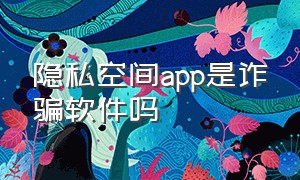 隐私空间app是诈骗软件吗