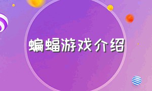 蝙蝠游戏介绍