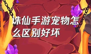 诛仙手游宠物怎么区别好坏