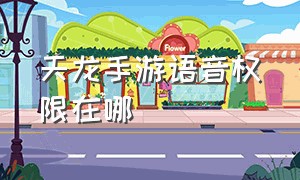 天龙手游语音权限在哪