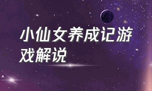 小仙女养成记游戏解说