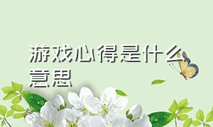 游戏心得是什么意思（游戏细节层次是什么意思）