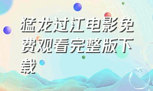 猛龙过江电影免费观看完整版下载