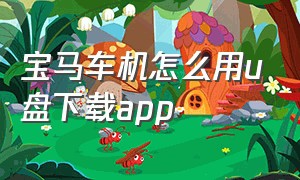 宝马车机怎么用u盘下载app