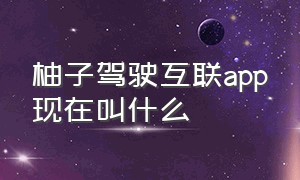 柚子驾驶互联app现在叫什么（柚子驾驶互联app现在叫什么）