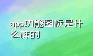 app功能图标是什么样的（app功能图标是什么样的啊）