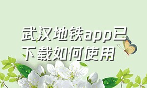 武汉地铁app已下载如何使用