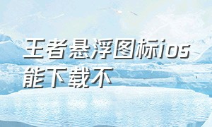 王者悬浮图标ios能下载不