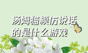 汤姆猫模仿说话的是什么游戏