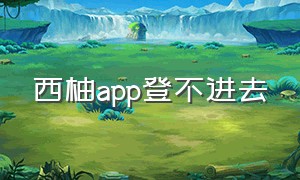 西柚app登不进去