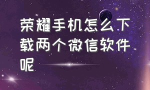 荣耀手机怎么下载两个微信软件呢（荣耀手机怎么下载微信分身）