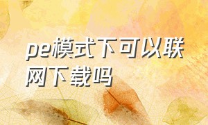 pe模式下可以联网下载吗