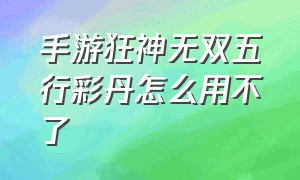 手游狂神无双五行彩丹怎么用不了（狂神无双手游平民选什么职业）