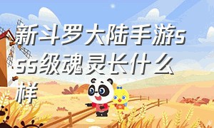 新斗罗大陆手游sss级魂灵长什么样