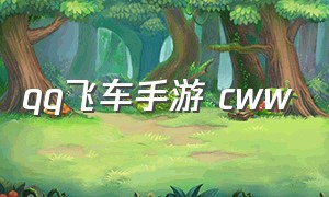 qq飞车手游 cww