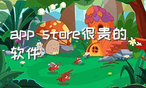 app store很贵的软件