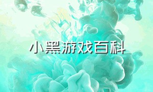 小黑游戏百科