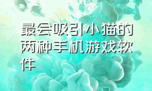 最会吸引小猫的两种手机游戏软件