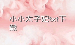 小小太子妃txt下载