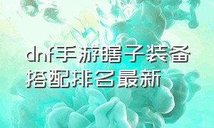 dnf手游瞎子装备搭配排名最新