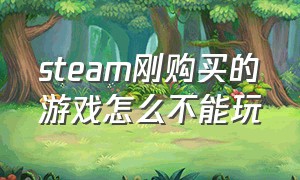 steam刚购买的游戏怎么不能玩