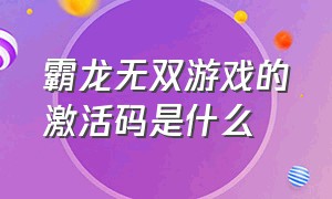 霸龙无双游戏的激活码是什么