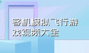 客机模拟飞行游戏视频大全（模拟飞行游戏解说螺旋桨飞机）