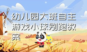 幼儿园大班自主游戏小球别跑教案