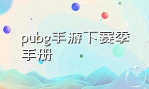 pubg手游下赛季手册（pubg手游20赛季手册）