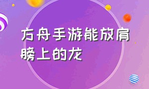 方舟手游能放肩膀上的龙（方舟手游怎么单独命令一个龙）