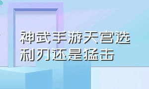 神武手游天宫选利刃还是猛击