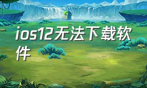 ios12无法下载软件（ios12的下载并安装为什么点不了）